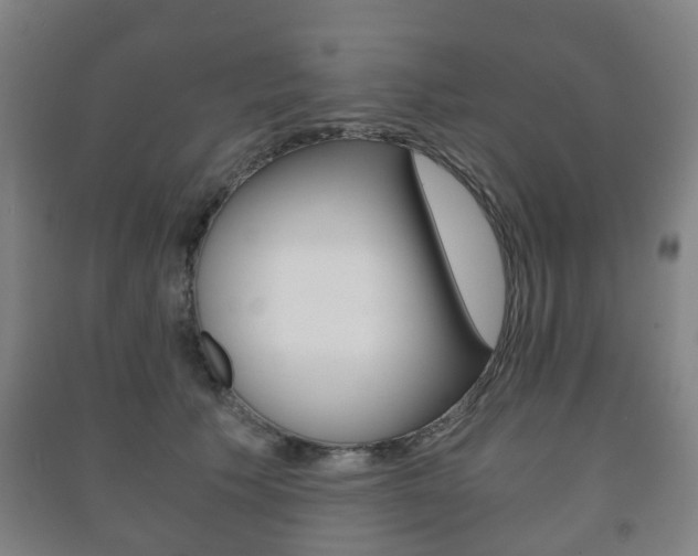 X0000091450609200708161048