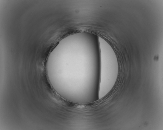 X0000091450611200708161048