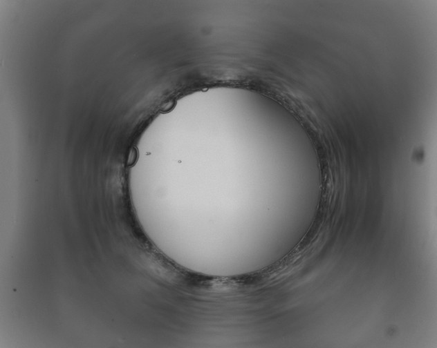 X0000091450612200708161048