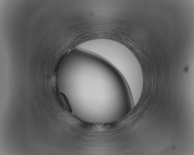 X0000091450613200708161048