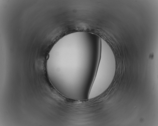 X0000091450616200708161048