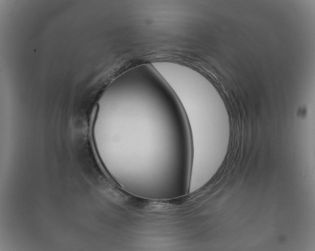 X0000091450617200708161048