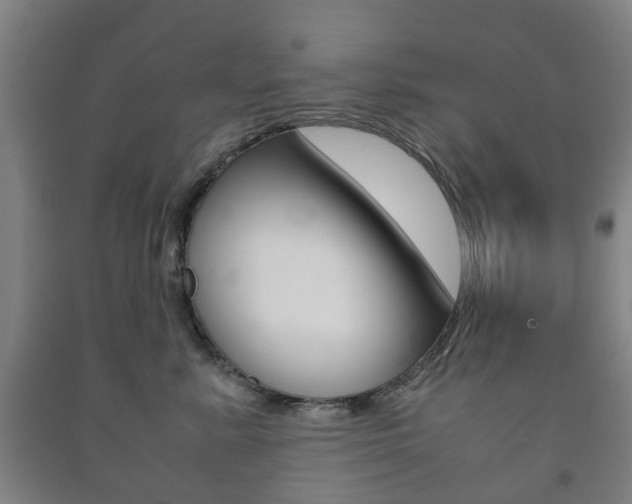 X0000091450619200708161048