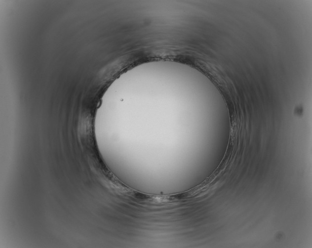 X0000091450623200708161048