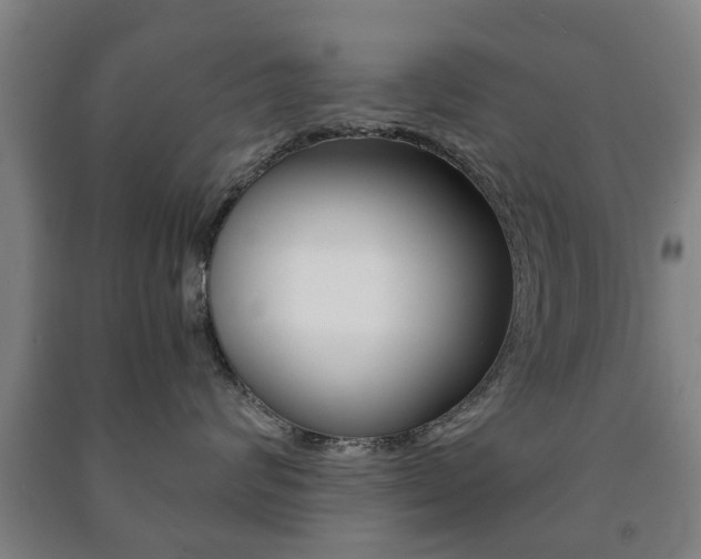 X0000091450624200708161048