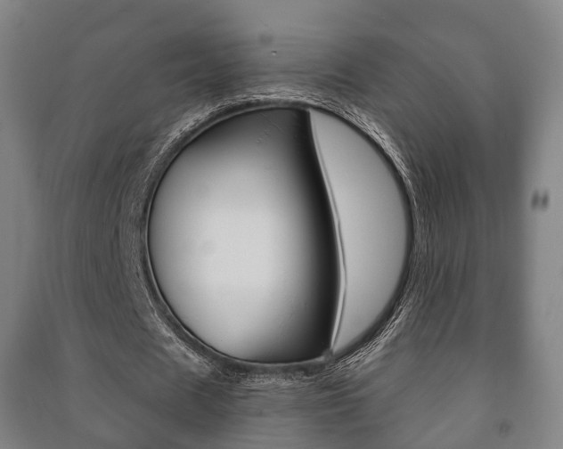 X0000091450625200708161048