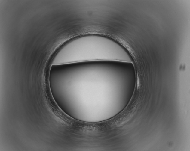 X0000091450627200708161048