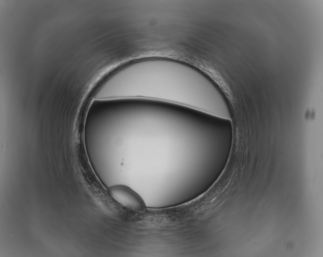 X0000091450628200708161048