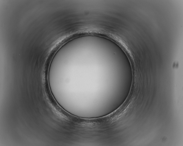 X0000091450629200708161048