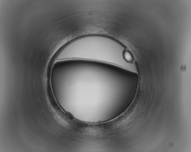 X0000091450630200708161048