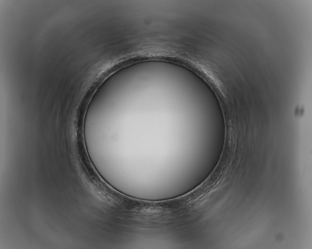 X0000091450631200708161048