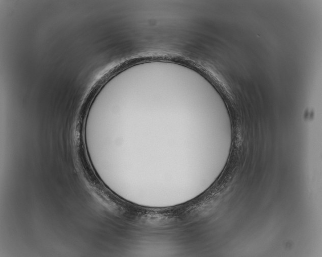 X0000091450632200708161048