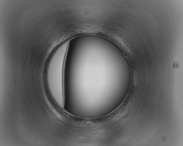 X0000091450634200708161048