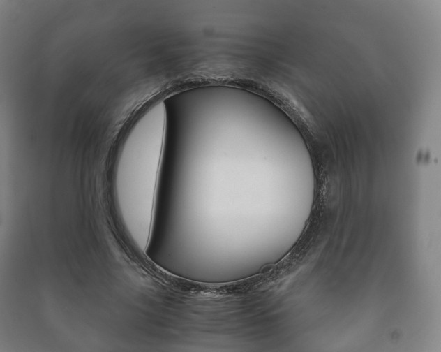X0000091450635200708161048