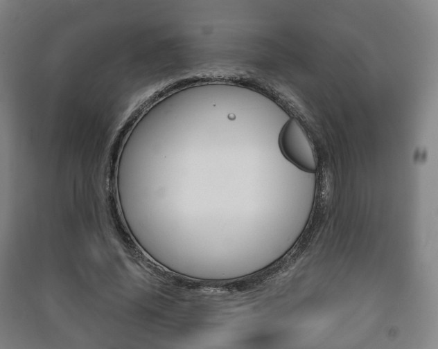 X0000091450636200708161048