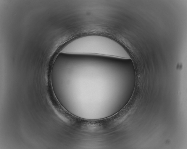 X0000091450638200708161048