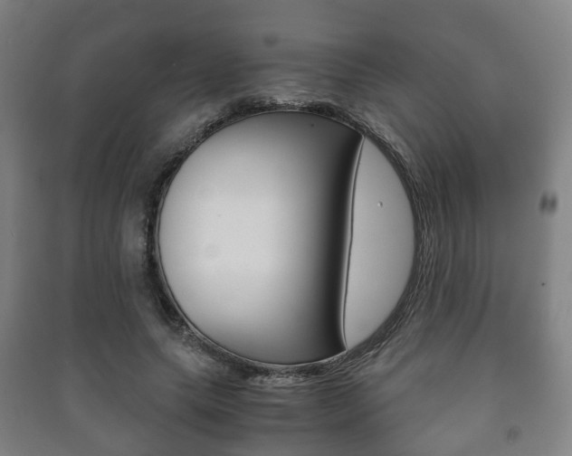 X0000091450639200708161048