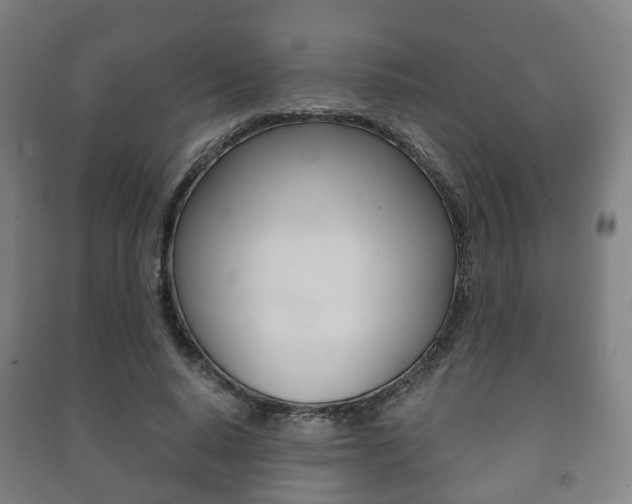 X0000091450640200708161048