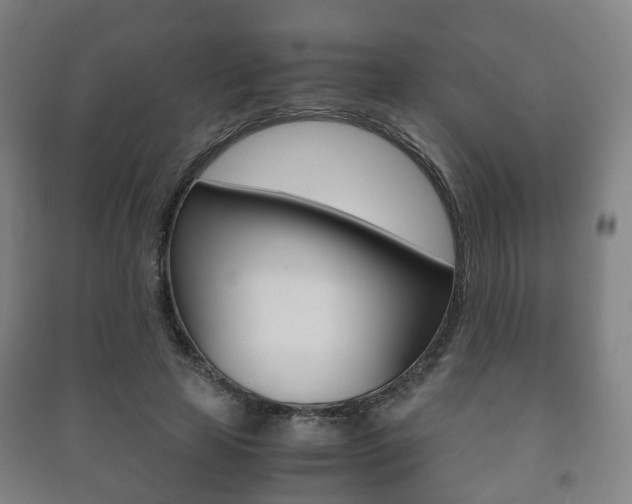 X0000091450641200708161048