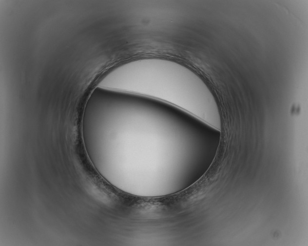X0000091450642200708161048