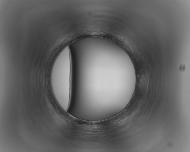 X0000091450643200708161048