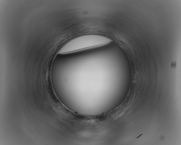 X0000091450646200708161048