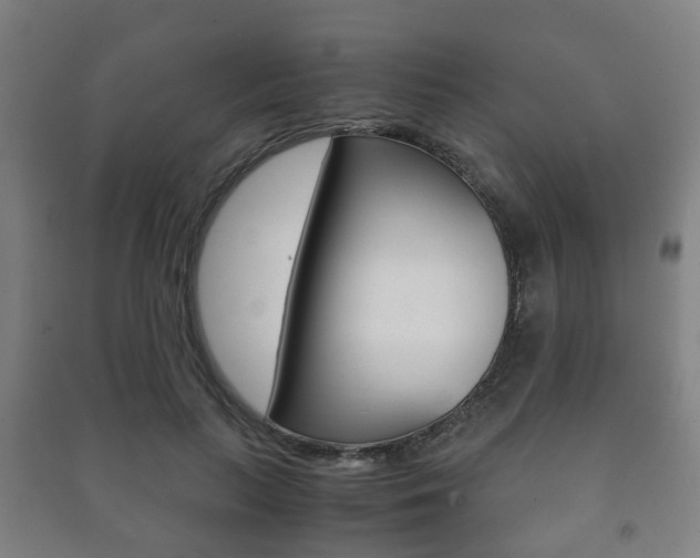 X0000091450647200708161048