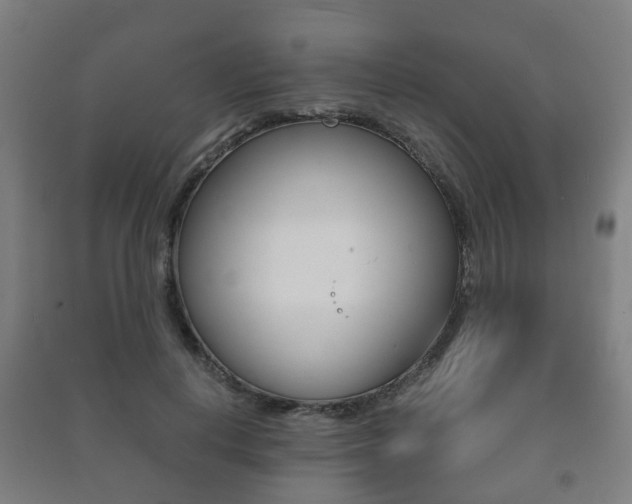 X0000091450648200708161048