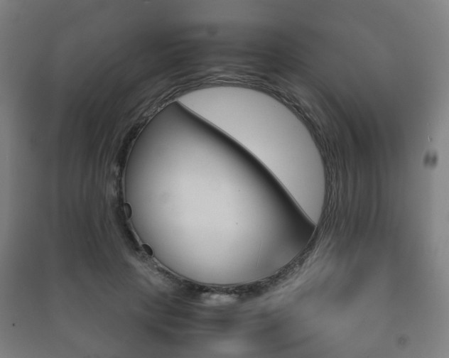 X0000091450649200708161048