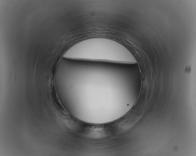 X0000091450651200708161048
