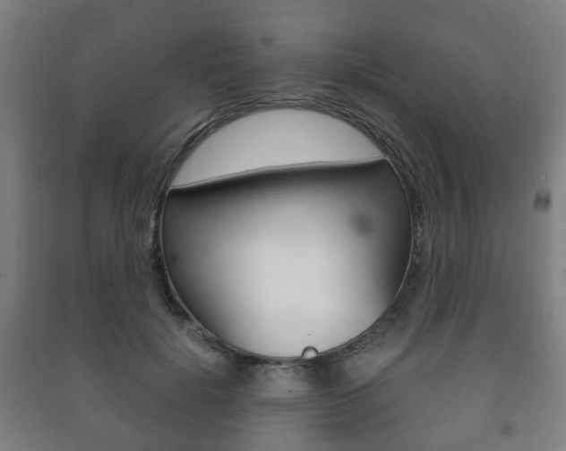 X0000091450652200708161048