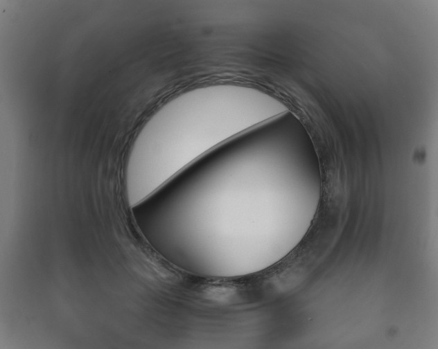X0000091450653200708161048