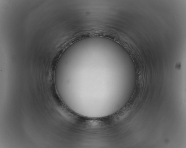 X0000091450654200708161048