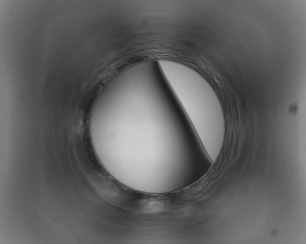 X0000091450655200708161048