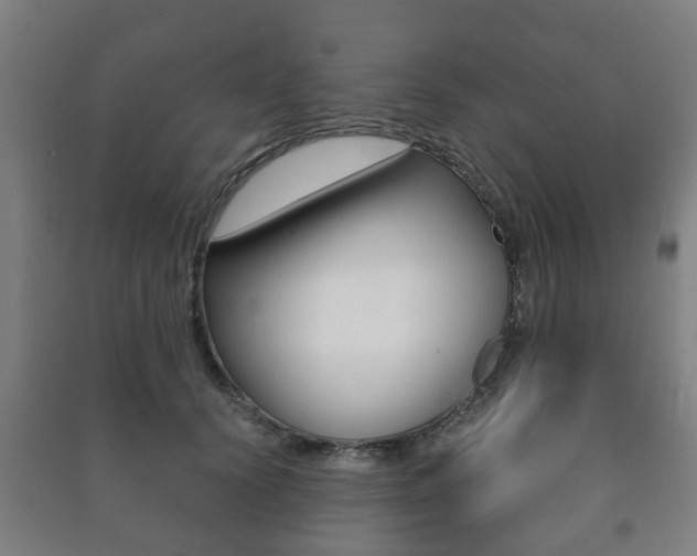 X0000091450656200708161048