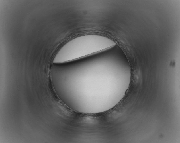 X0000091450657200708161048