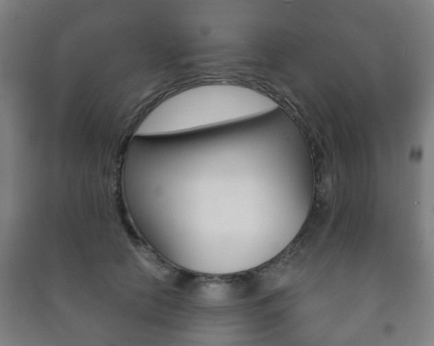 X0000091450658200708161048