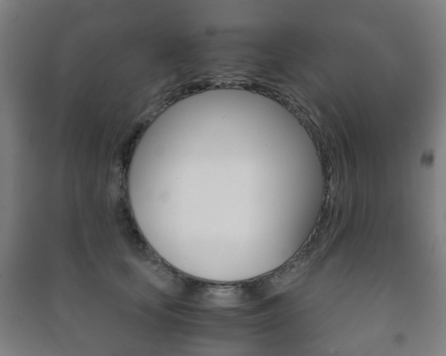 X0000091450659200708161048