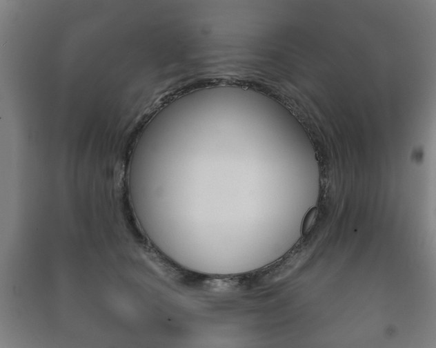 X0000091450660200708161048