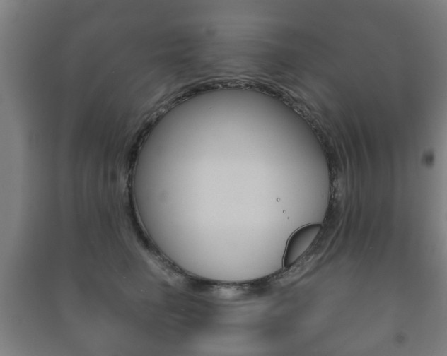 X0000091450662200708161048