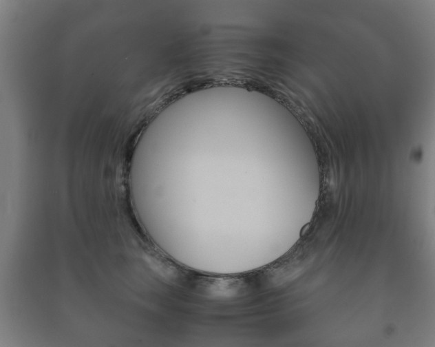 X0000091450663200708161048
