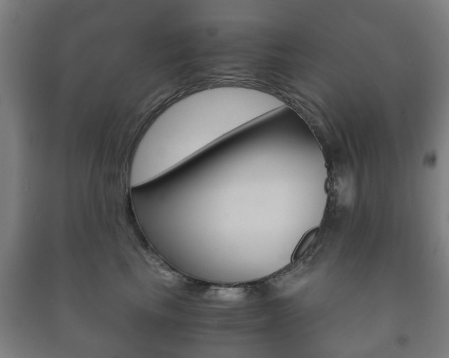 X0000091450665200708161048
