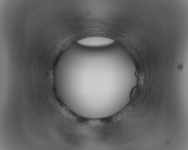 X0000091450666200708161048