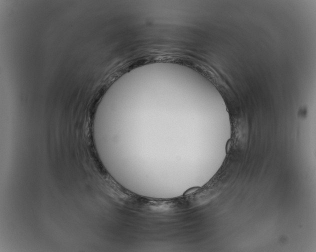 X0000091450667200708161048