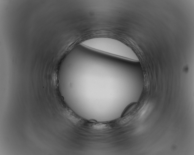 X0000091450669200708161048