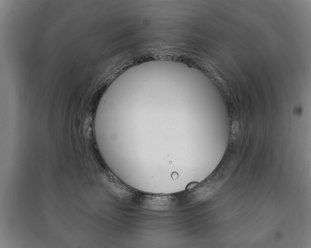 X0000091450671200708161048