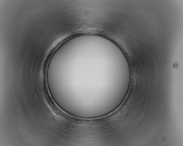 X0000091450674200708161047