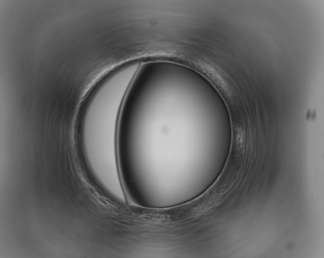 X0000091450676200708161047