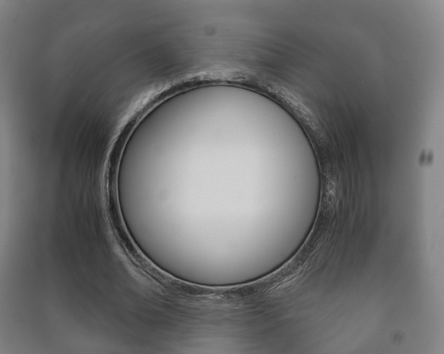 X0000091450678200708161047