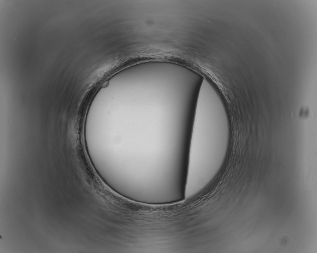 X0000091450679200708161047